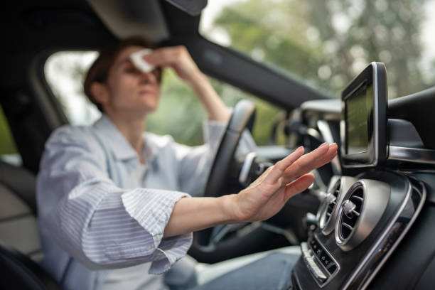 Best Air quality test  in Suncoast Estates, FL